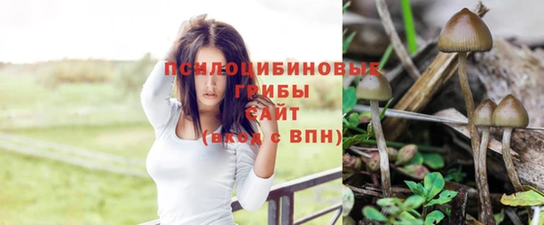 каннабис Богородск