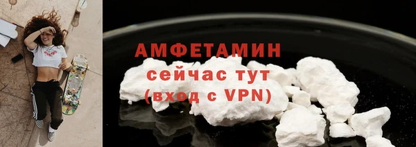 твердый Богданович