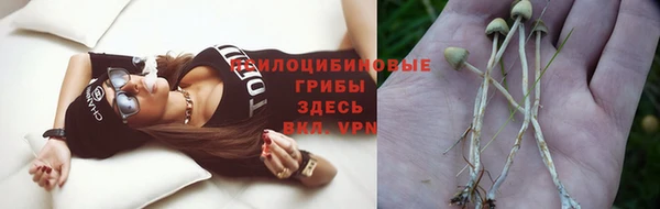 твердый Богданович