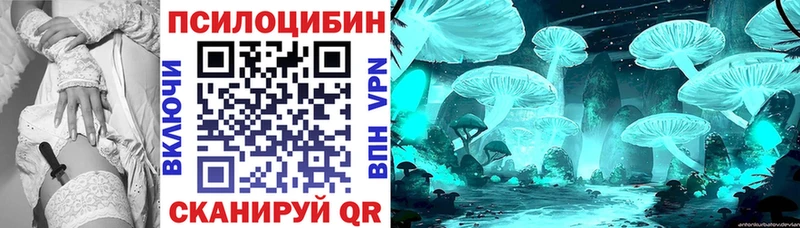 Галлюциногенные грибы MAGIC MUSHROOMS  закладки  Буинск 