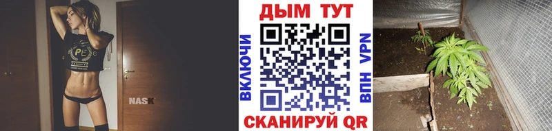 купить сайты Буинск Бошки Шишки индика